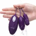 性玩具功能按鍵詳解 - Erocome Lyra Duo 雙重震蛋