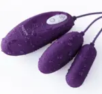 Erocome Lyra Duo 雙重震蛋 - 香港順豐站自取包裝