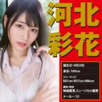 EXE Japanese Real Hole 激 河北彩花自慰器 - 舒適通道