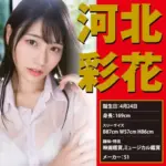 EXE Japanese Real Hole 激 河北彩花自慰器 - 全自動活塞伸縮細節