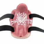 FAAK 捕食者震動型坐墊