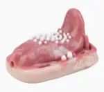 陰蒂吸吮口真空細節 - FAAK 捕食者震動型坐墊