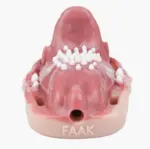 FAAK 捕食者震動型坐墊 - 入體式人體工學弧度