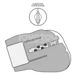 Lovetoy Streetgirl #16 電動吸啜發聲自慰器 2.9公斤 - 龜頭鍛鍊刺激紋理