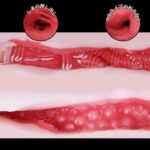 男用玩具 - MIZ 橋本有菜 自慰器 450g