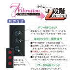 NPG 橋本有菜 激震潮吹 Denma 按摩棒 - 黑色 - 情趣震動