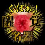 香港現貨 - NPG 深田詠美 名器覺醒自慰器