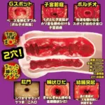 真空負壓吸吮結構 - NPG 藤森里穗 File 004 自慰器