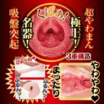 雙通道名器橫切面 - NPG 橋本有菜榮譽之名器飛機杯