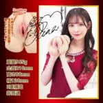 易清洗內膽拆解圖 - NPG 橋本有菜榮譽之名器飛機杯