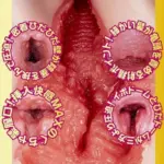 真空負壓吸吮結構 - NPG AV女優迷你名器 今井夏凡