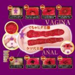 男用玩具 - NPG 小宵虎南 名器的證明 014 自慰器