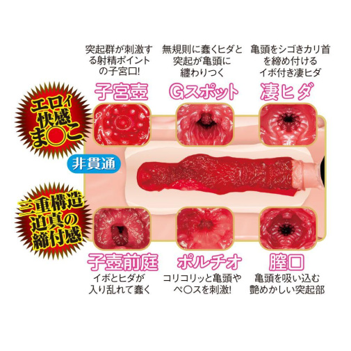 男用玩具 - NPG 名器之證明 田中檸檬 File 013 震動吸啜飛機杯