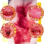 真空負壓吸吮結構 - NPG AV女優迷你名器 北野未奈