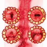 真空負壓吸吮結構 - NPG AV女優迷你名器 田中寧寧