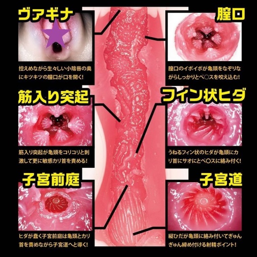男用玩具 - NPG 名器之証明 File 003 葵司 自慰器