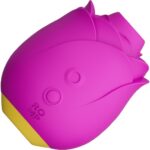 香港現貨極速發貨 - Romp Rose 玫瑰造型陰蒂吸啜器 - 粉紫