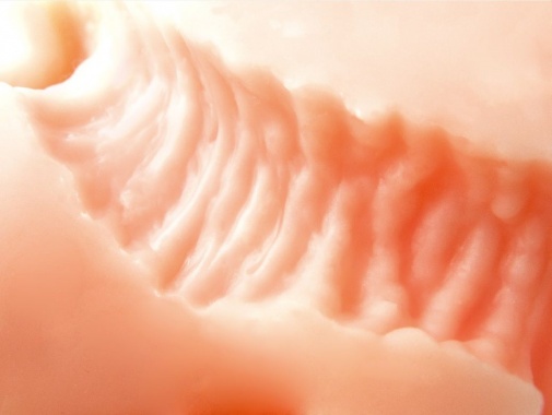 男用玩具 - ToysHeart G-19 Secret Uterus 自慰器