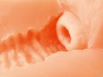 ToysHeart G-19 Secret Uterus 自慰器 - 舒適通道